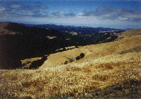Hillsides, trails, nice skyline