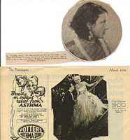 Clippings on New York Nights