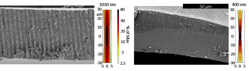 Edges of lens capsule cut with the 1030nm fs laser at 10uJ and 400nm laser at 0.02uJ