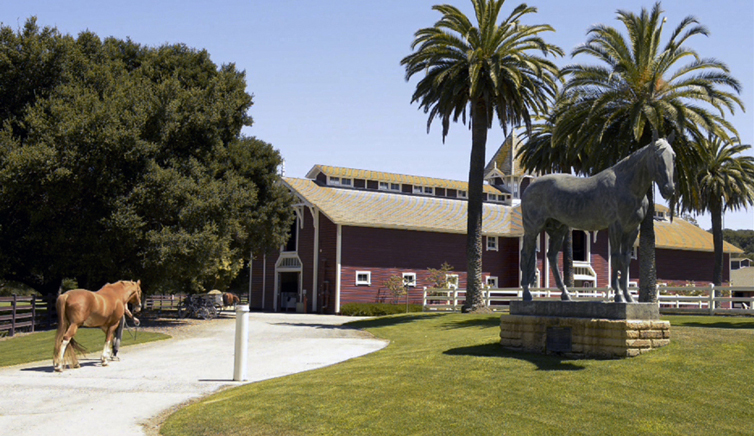 horse being walked towards Stanford Barn