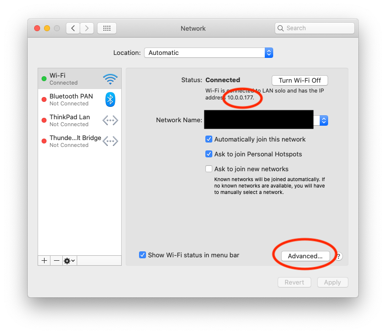 Network Window