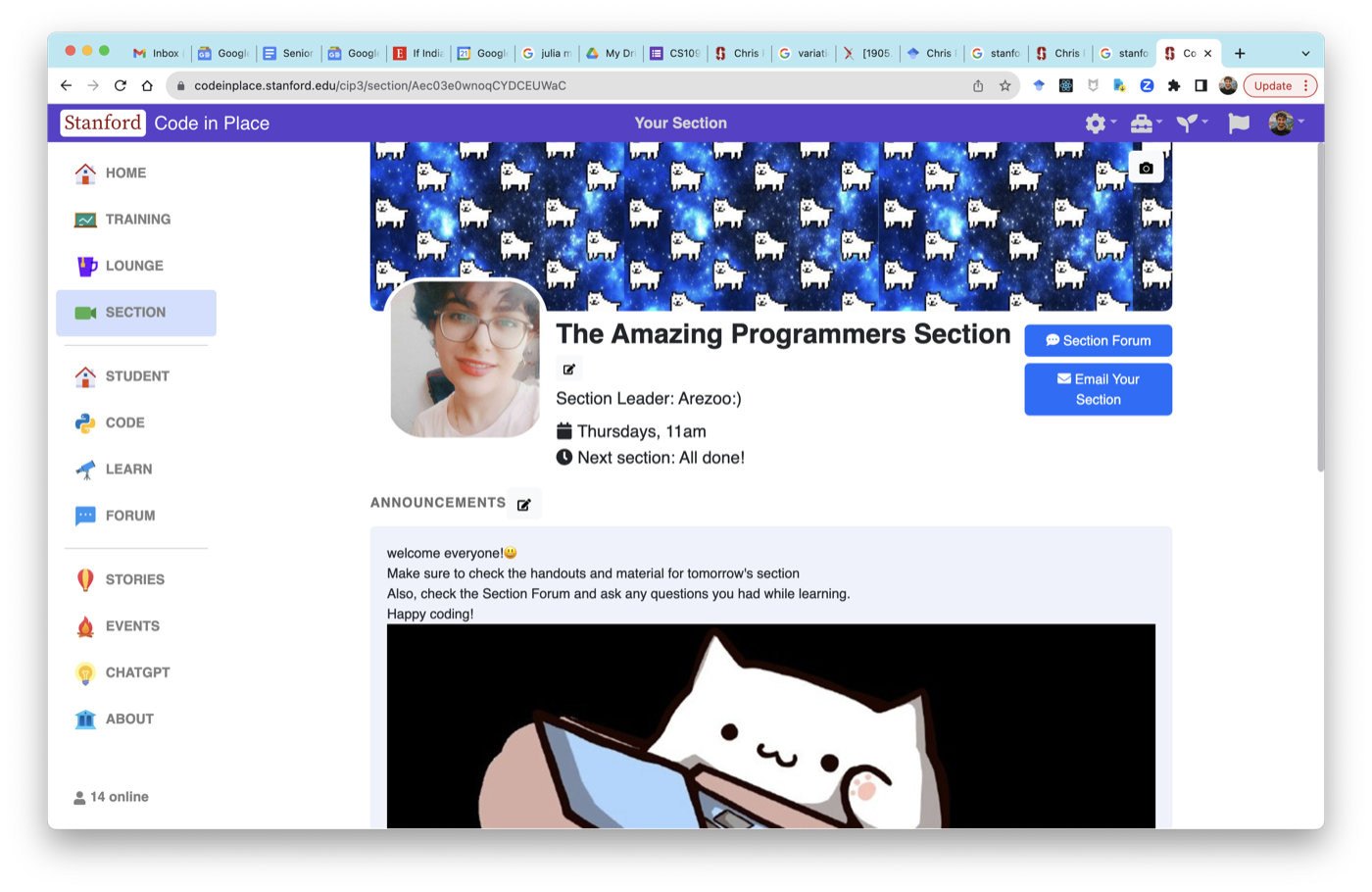 A section home page with a section leader, meeting time, and announcements