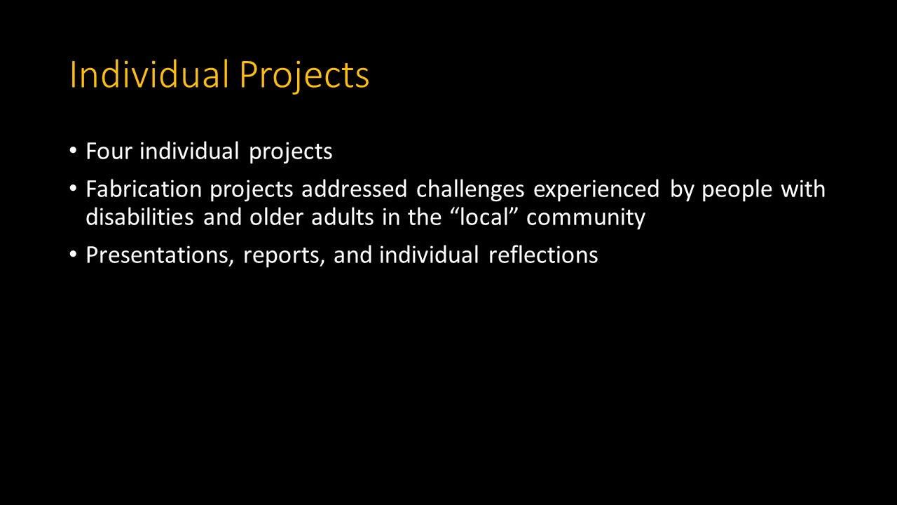 Individual Projects