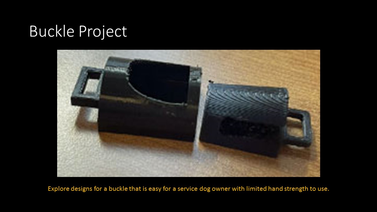 Buckle Project
