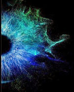 Sight Tech Global logo