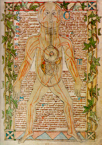 History of the Arteries and Veins