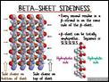 Beta-Sheet Sidedness