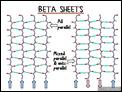 Beta Sheet
