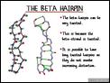 The Beta Hairpin