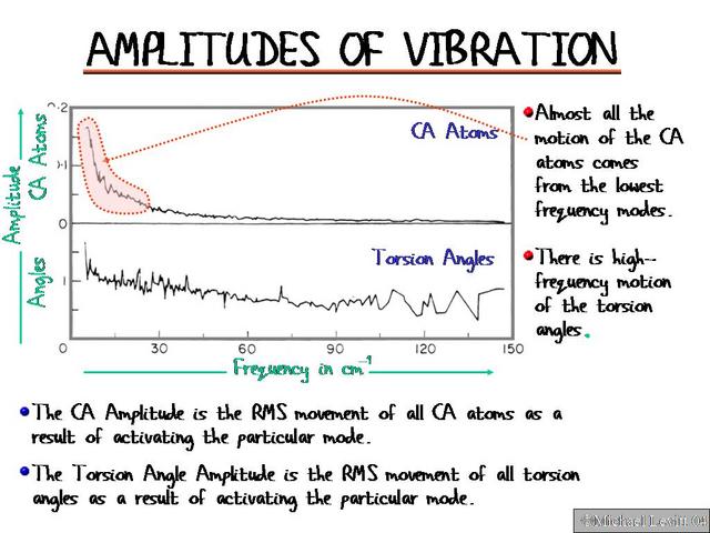 Amplitudes_of_Vibration