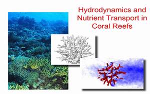 coral reefs