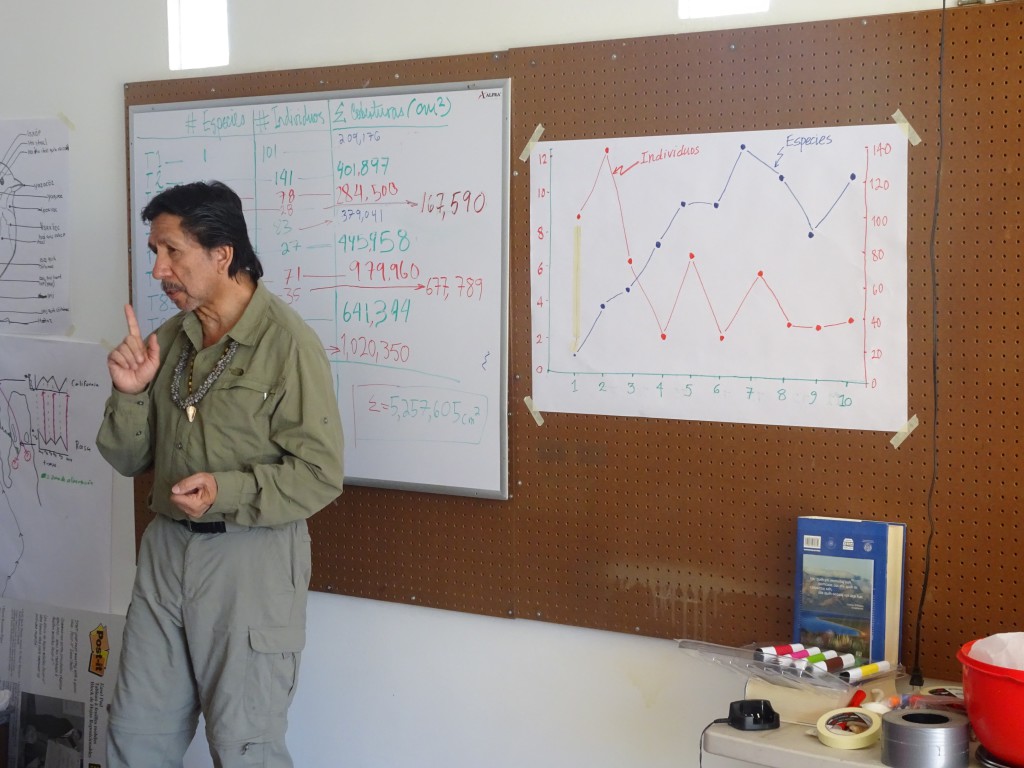 Rodolfo leading the analysis of data from the Gentry plots on Isla Tiburón