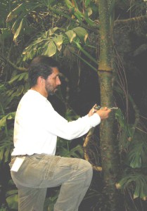 Rodolfo measuring the DBH of a tropical rainforest tree at a defaunated study site in Los Tuxtlas, Mexico.