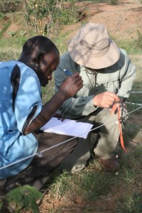 Rodolfo and field assistant sampling vegetation at control sites at Mpala Research Station, Kenya.
