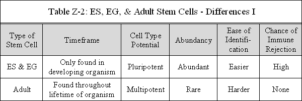 Stem cell research cons list
