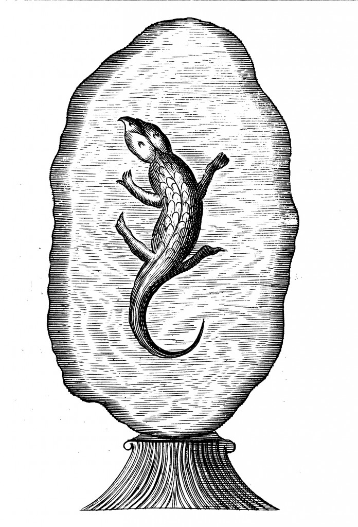Amber-encased lizard in Kircher's museum, from Mundus Subterraneus (1665 ed.), vol. 2, p. 76