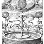 The sunflower clock, from Kircher, Magnes, sive De Arte Magnetica (1643 ed.), p. 644.