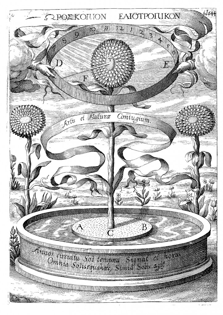 The sunflower clock, from Kircher, Magnes, sive De Arte Magnetica (1643 ed.), p. 644.