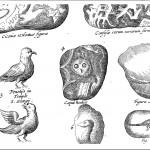 Stone with image of an owl from Mundus Subterraneus (1665 edn.) vol. 2, p. 32