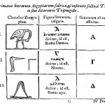 The primeval forms of the Egyptian alphabet introduced by Thoth, from Oedipus Aegyptiacus, tom. 3, p. 47