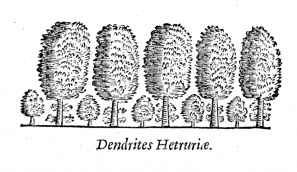 Dendrites Hetruriae.