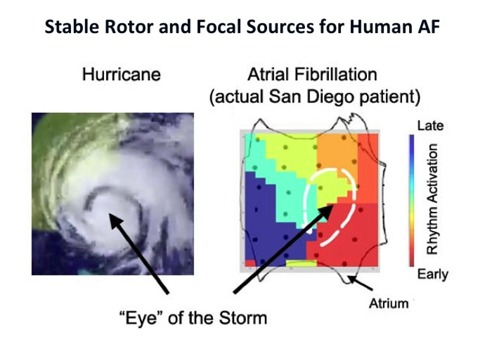 research-stable-rotor-focal-sources