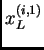$ x^{(i,1)}_L$