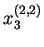 $ x^{(2,2)}_3$