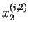 $ x^{(i,2)}_2$