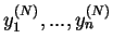 $ y_1^{(N)},...,y_n^{(N)}$
