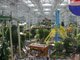 In the Great Mall of America