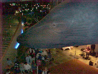 Eye to eye with a whale