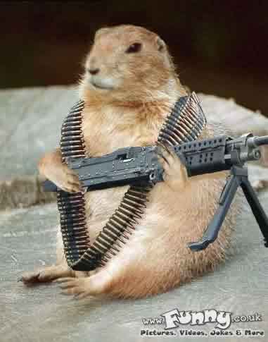 gopher with machine gun