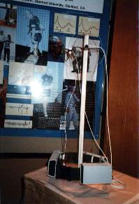 Poster and torso