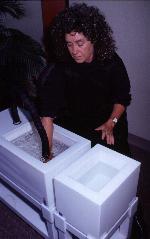 photo of experimental setup