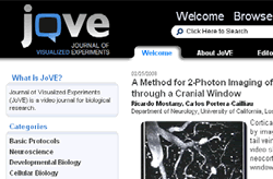 Journal of Visualized Experiments