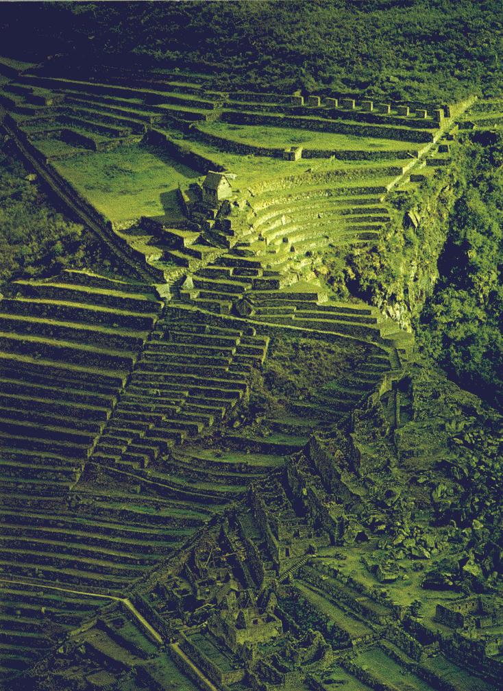 ancient inca agriculture