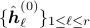 {hat{boldsymbol{h}}_{ell}^{(0)}}_{1le ellle r}