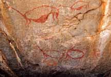 Rock art in Cuchimachay Cave, in the Sierra of Lima.  The larger animal seems to be a pregnant camelid; the smaller ones may be yearlings
