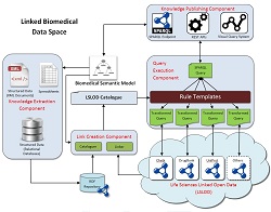 Linked Biomedical Dataspace