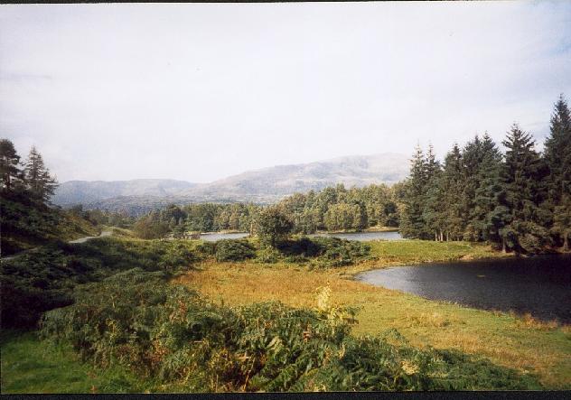 Tarn Hows