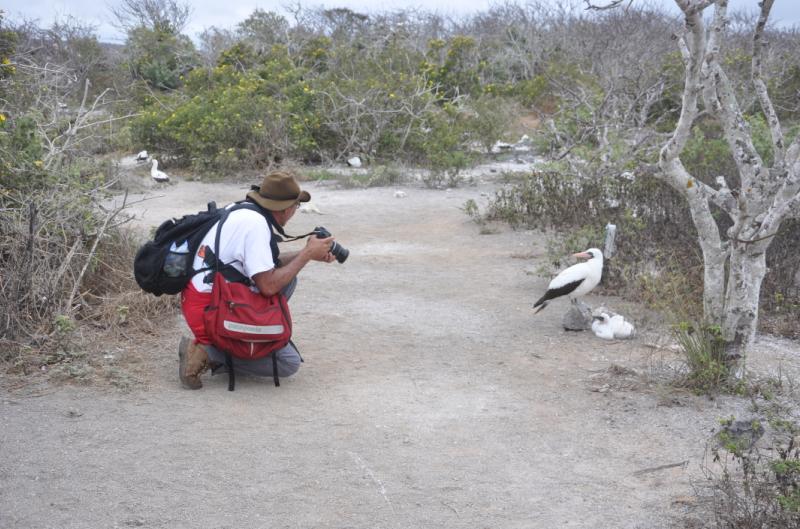 galapagos