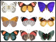 6a00d8341c6a0853ef0134818da2b8970c-800wi