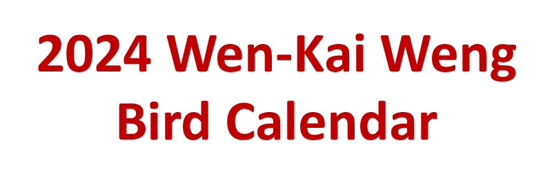 Description: Macintosh HD:Users:WenKaiWeng:BirdCalendar:calendar:image038.jpg