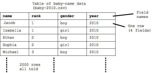 table organized as fields and rows