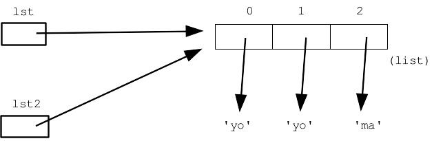 alt: lst lst2 both point to the 1 list in memory