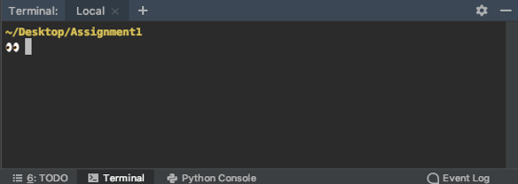 The PyCharm terminal that is used to run Python programs