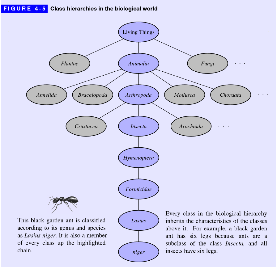 inheritance example from biology