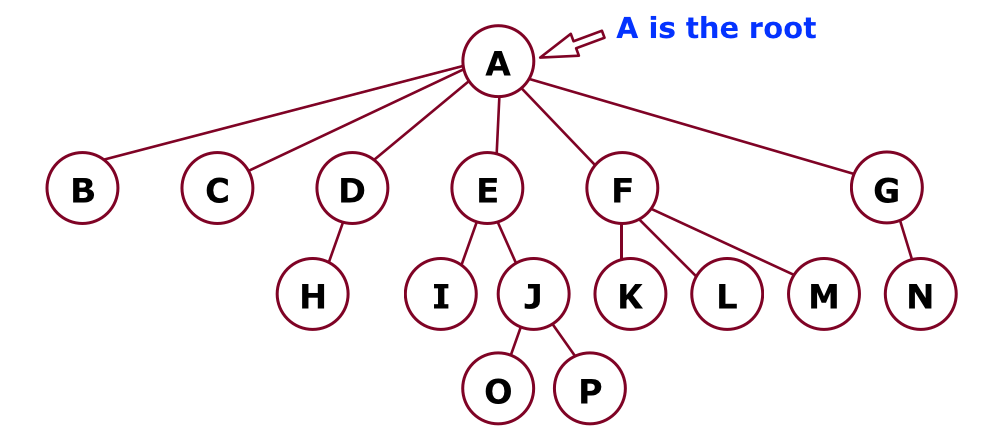 A tree of letters. See the text tree below
