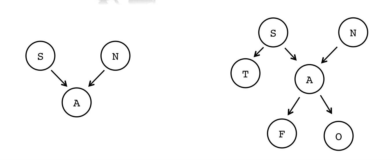 Two images -- one with a non-tree that has two nodes that share a child (nodes S and N both share a child, A). The second image is also a non-tree. Node S has two children, T and A, and node N has a single child, A. So, the A is (again) shared, and this is not a tree.